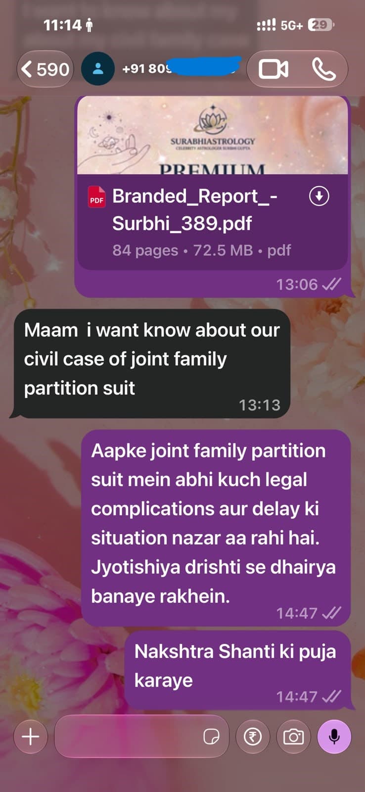 Customer WhatsApp conversation about a Surbhi Kundali report