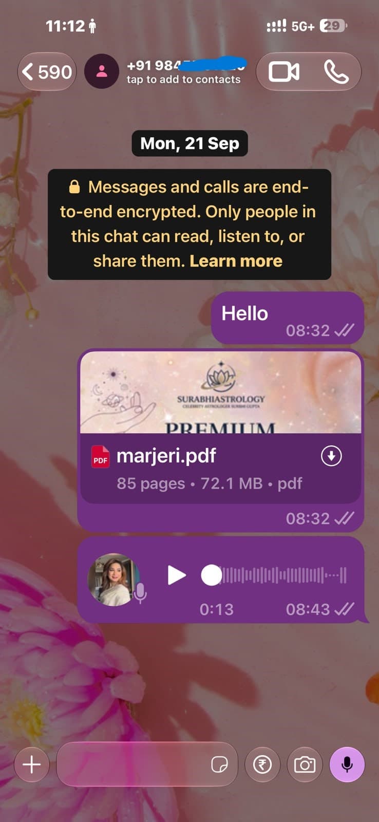 Customer WhatsApp conversation showing a Surbhi Kundali report and voice note