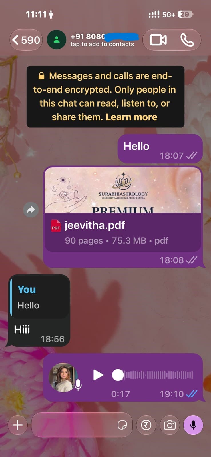 Customer WhatsApp conversation about a Surbhi Kundali report