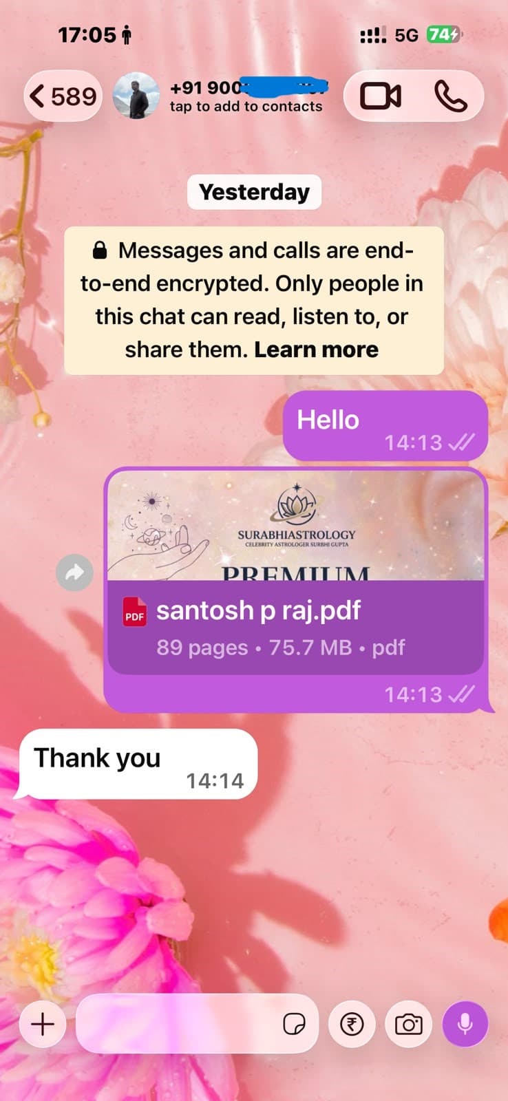 Customer WhatsApp conversation after receiving a Surbhi Kundali report