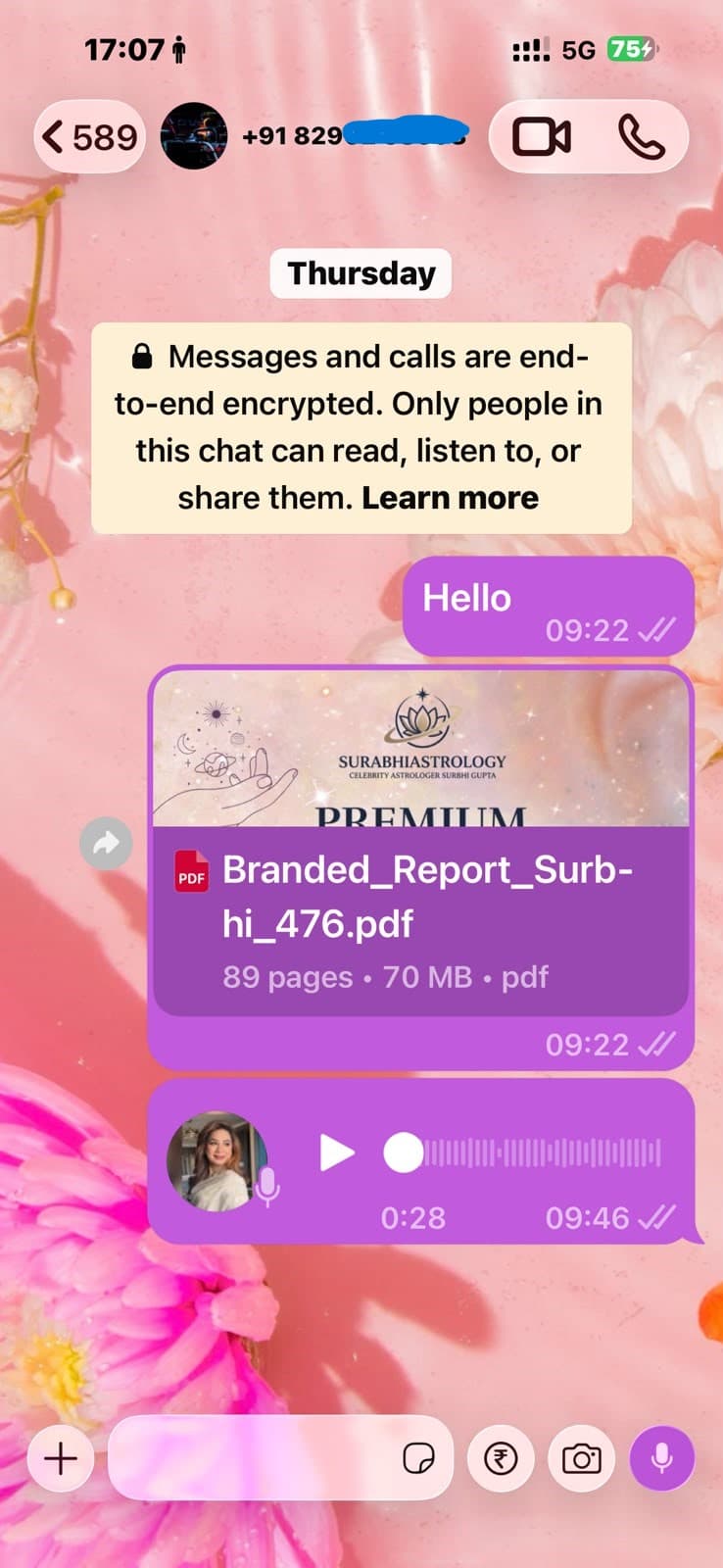 Customer WhatsApp conversation showing a Surbhi Kundali report and voice note