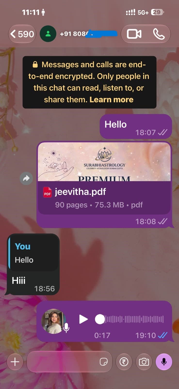 Customer WhatsApp conversation about a Surbhi Kundali report